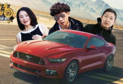 野马视频,探寻狂野之美，捕捉自然瞬间